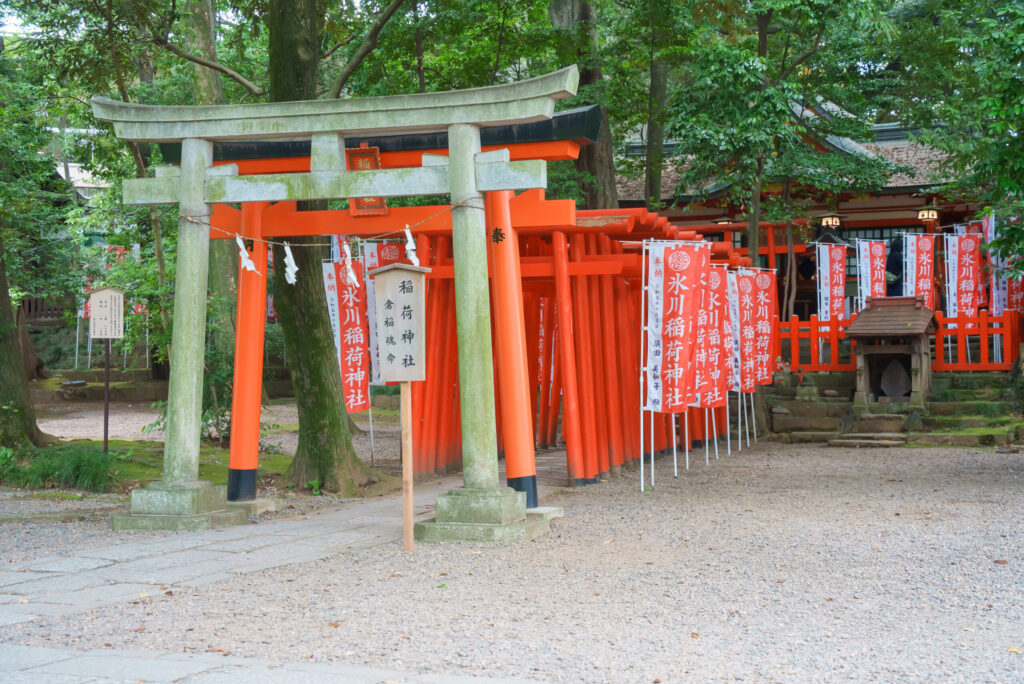 武蔵一宮氷川神社(さいたま市)でお宮参り出張撮影の写真と撮影スポット紹介|2025年7月更新|20枚以上の参考写真