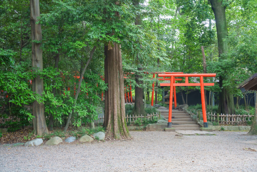 武蔵一宮氷川神社(さいたま市)でお宮参り出張撮影の写真と撮影スポット紹介|2025年7月更新|20枚以上の参考写真