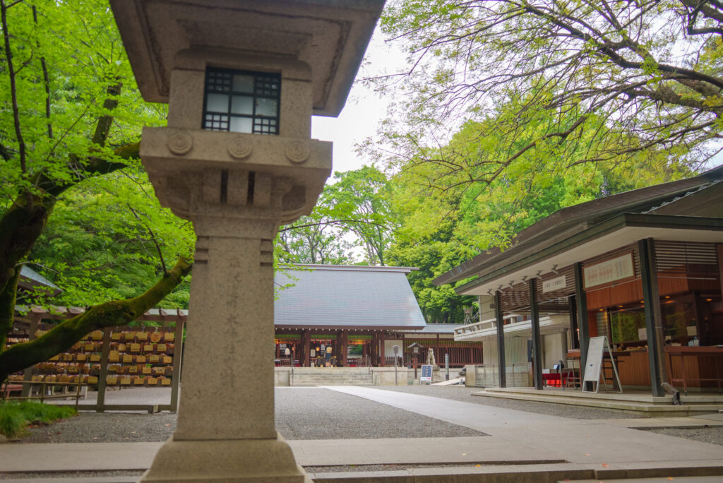 2025年版|乃木神社でお宮参り・七五三・安産祈願|出張撮影で残す家族の記念日