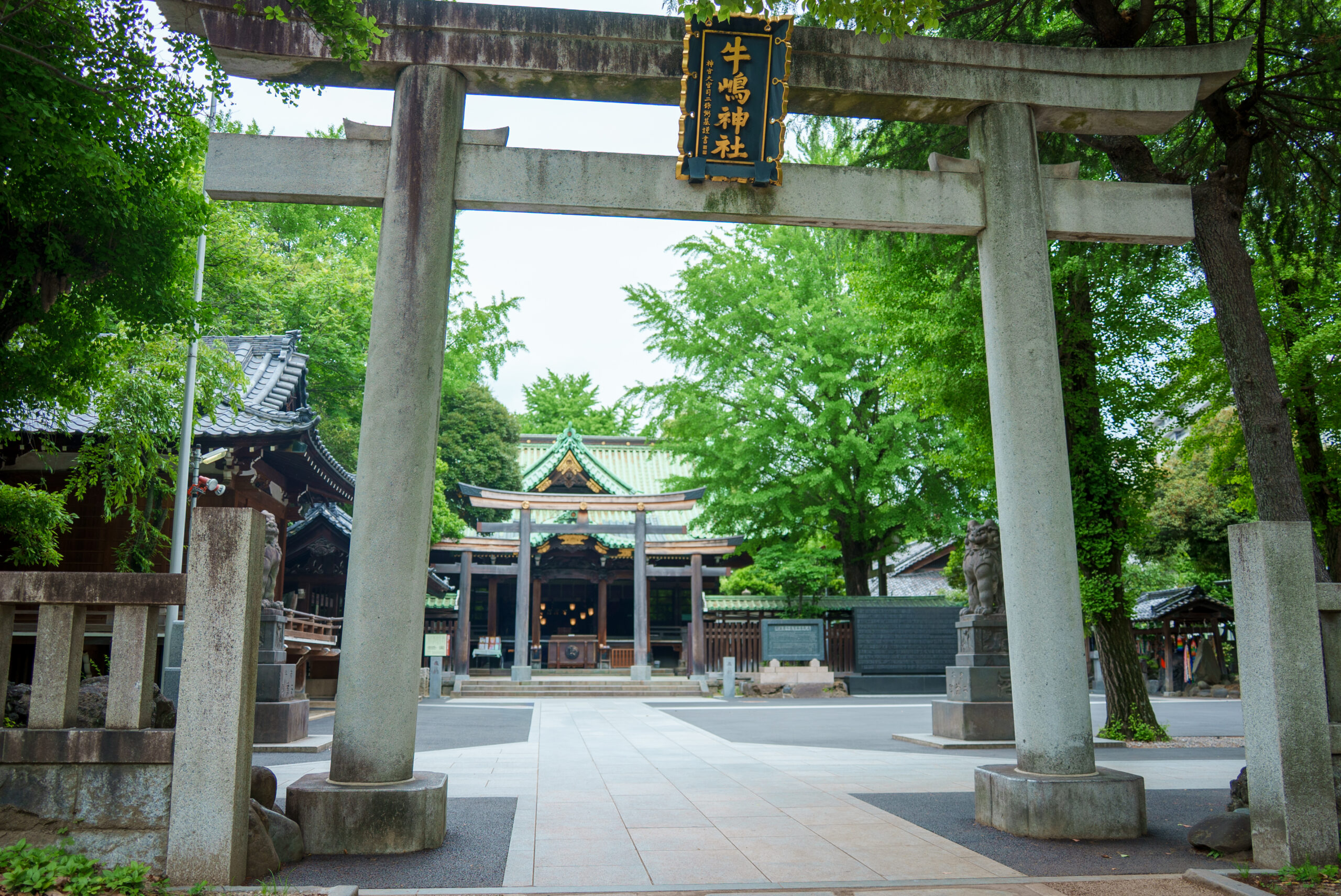 牛嶋神社の写真