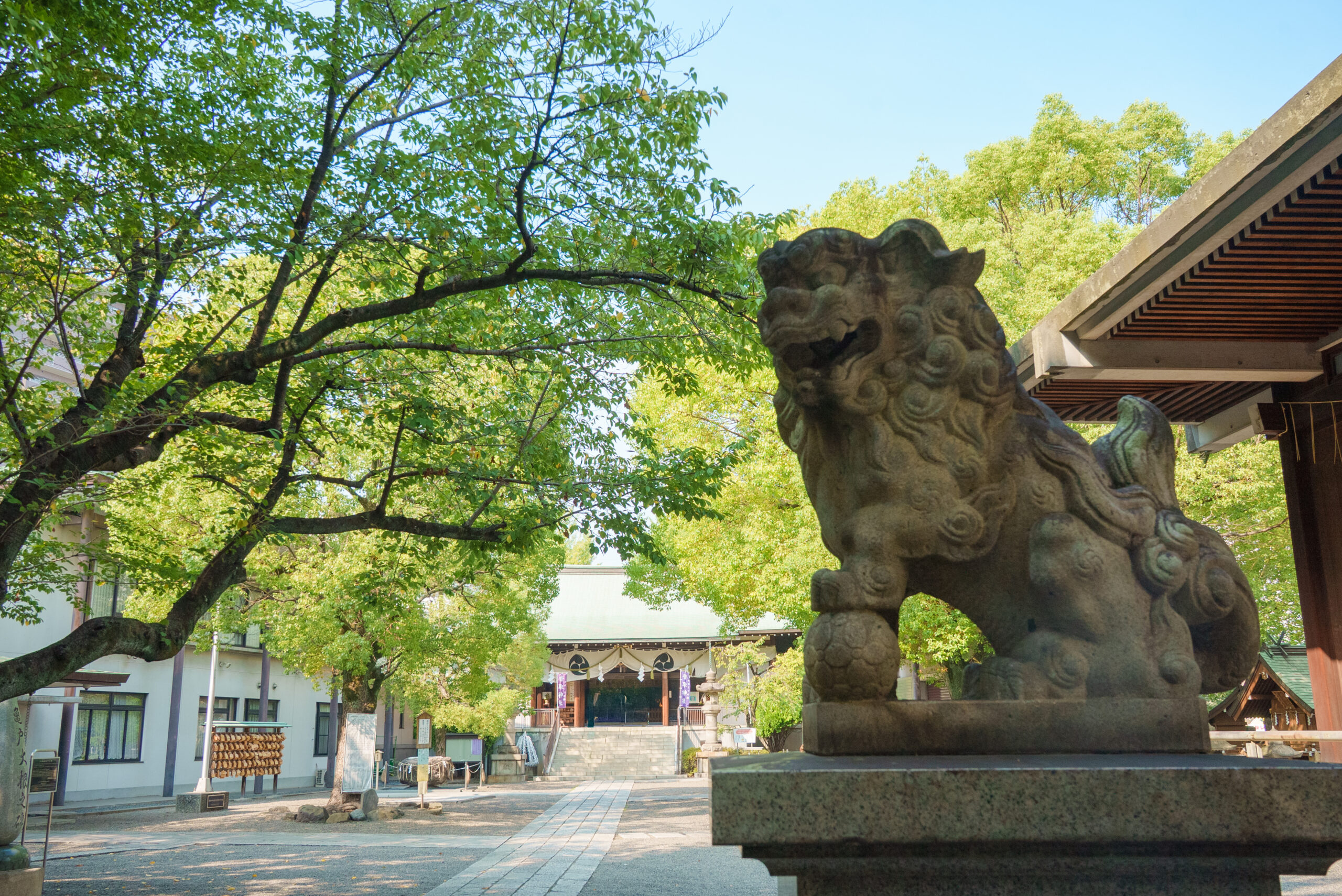 亀戸香取神社の写真