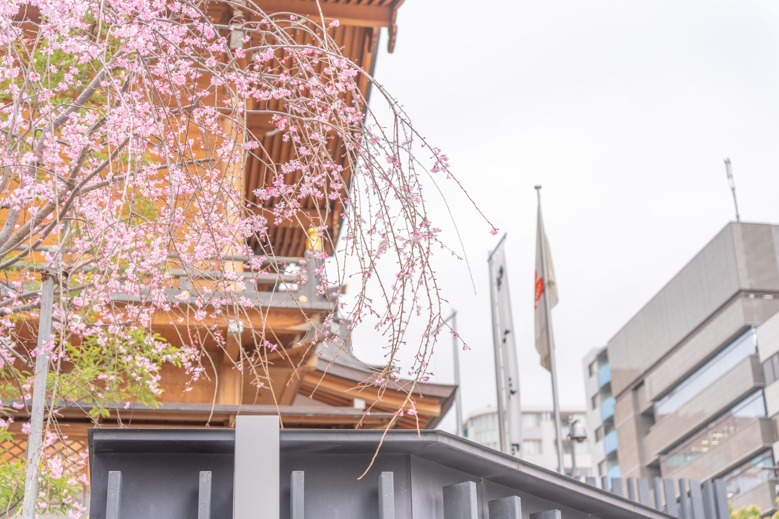 水天宮 本殿前でのお宮参り出張撮影