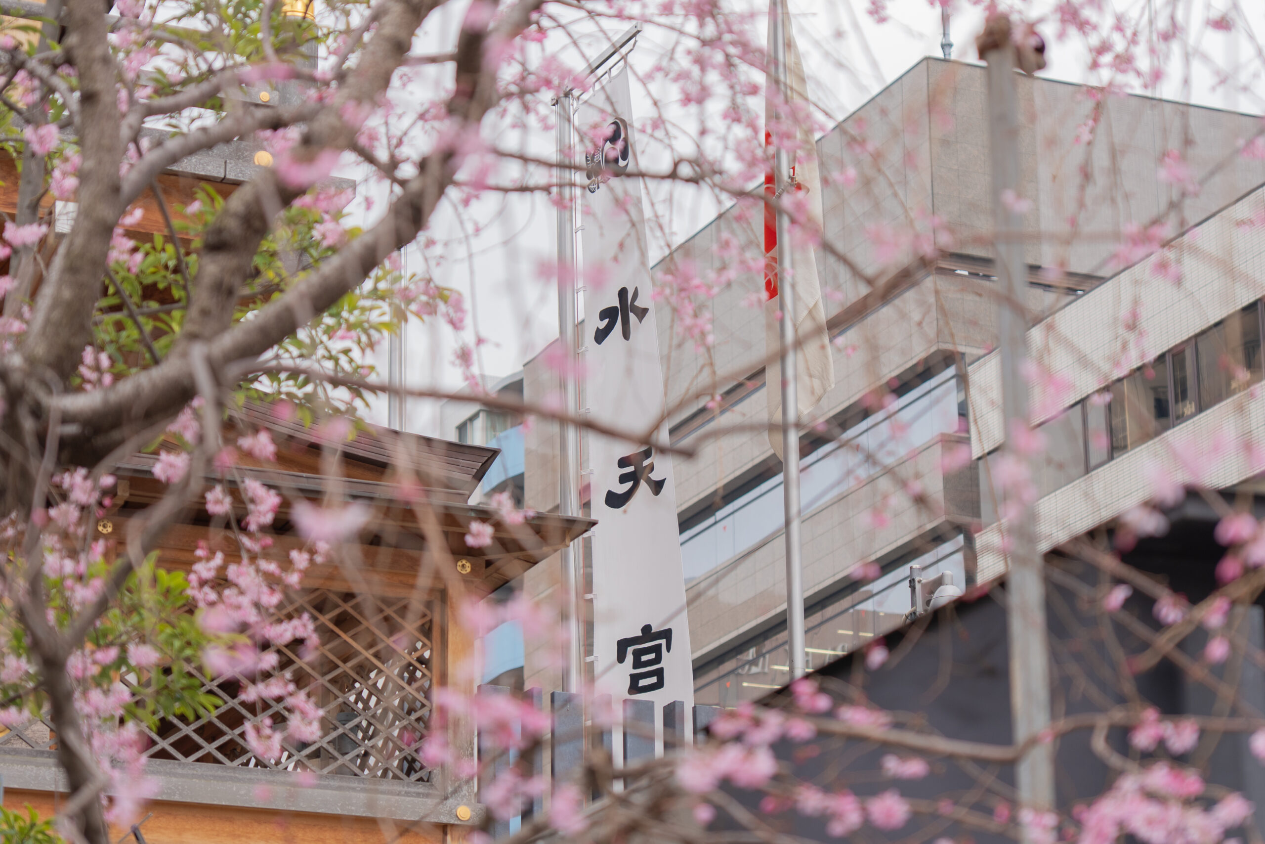 水天宮 提灯横での家族写真 出張撮影
