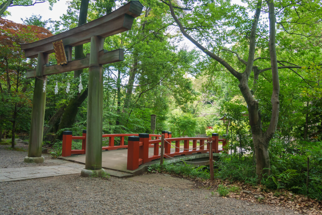 武蔵一宮氷川神社(さいたま市)でお宮参り出張撮影の写真と撮影スポット紹介｜2025年7月更新｜20枚以上の参考写真