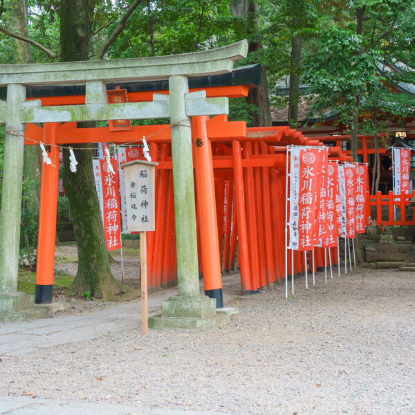 武蔵一宮氷川神社(さいたま市)でお宮参り出張撮影の写真と撮影スポット紹介｜2025年7月更新｜20枚以上の参考写真