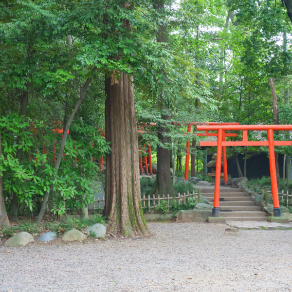 武蔵一宮氷川神社(さいたま市)でお宮参り出張撮影の写真と撮影スポット紹介｜2025年7月更新｜20枚以上の参考写真