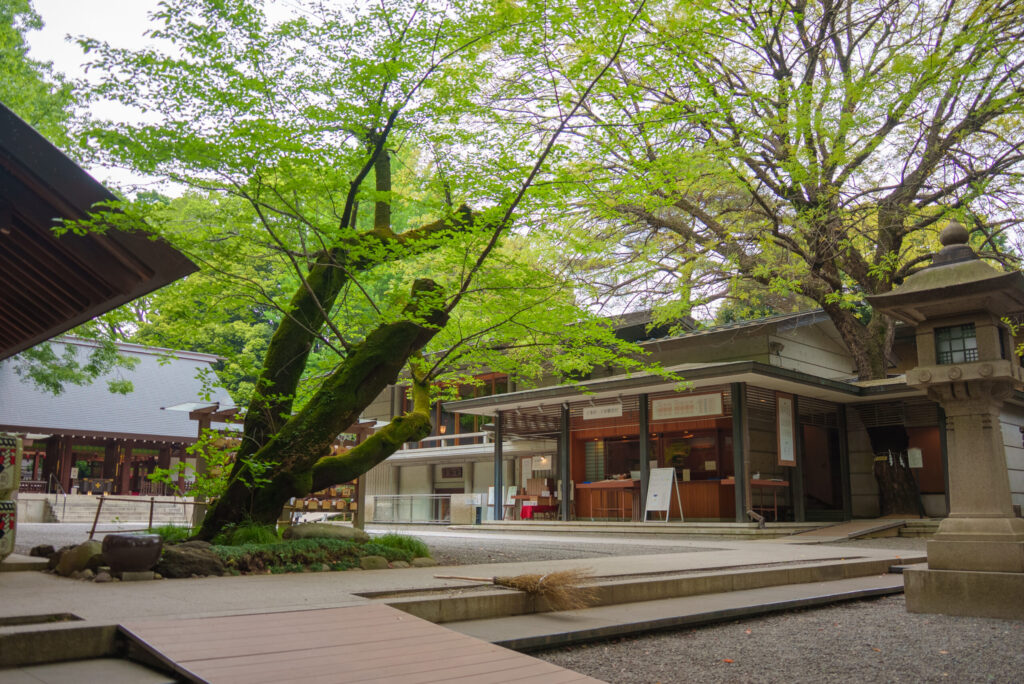 2025年版|乃木神社でお宮参り・七五三・安産祈願|出張撮影で残す家族の記念日