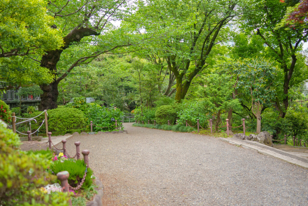 2025年版|乃木神社でお宮参り・七五三・安産祈願|出張撮影で残す家族の記念日