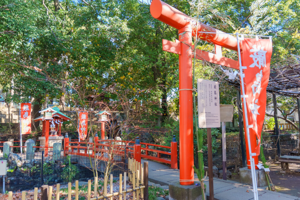 世田谷八幡宮のお宮参りを出張撮影