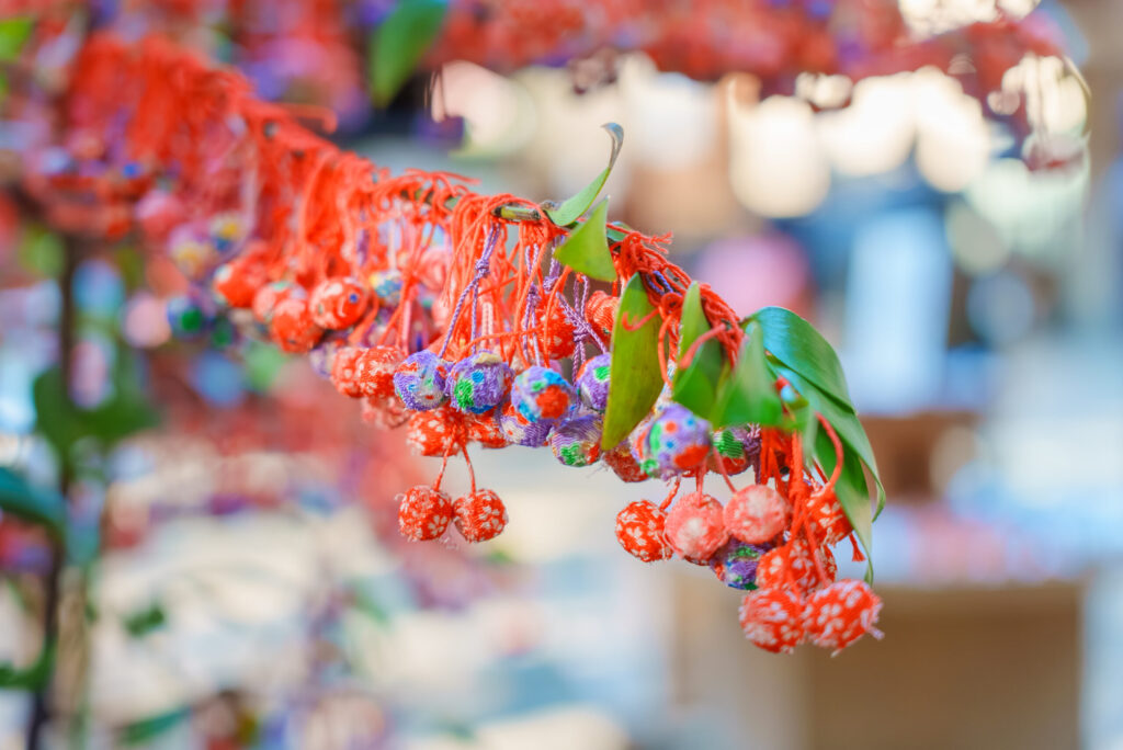 赤坂氷川神社のお宮参りを出張撮影