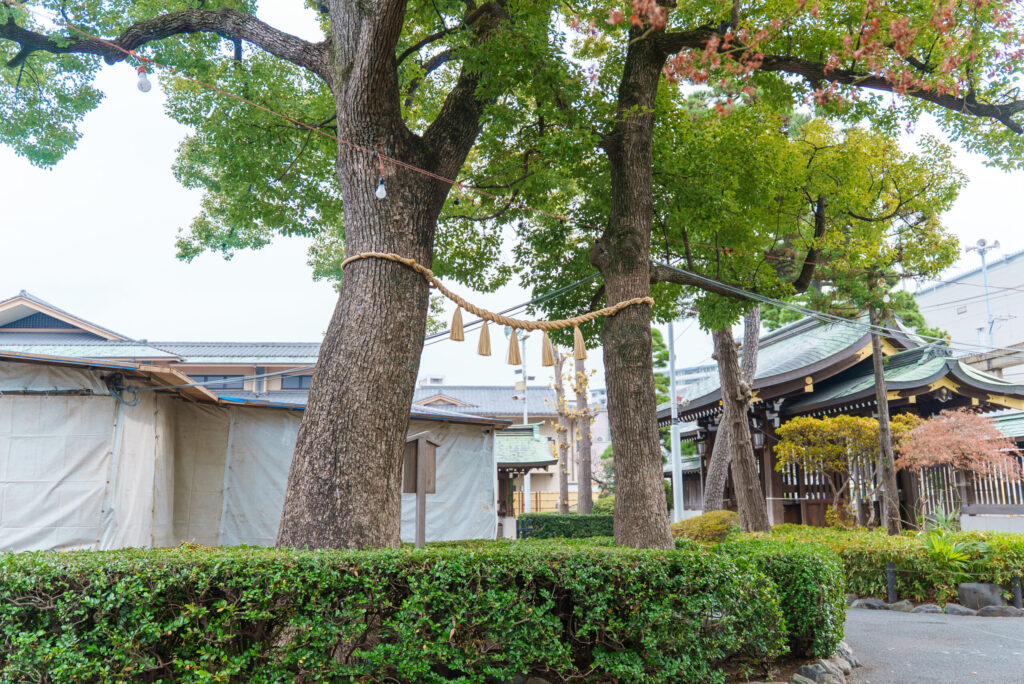 六郷神社(大田区)お宮参りを出張撮影