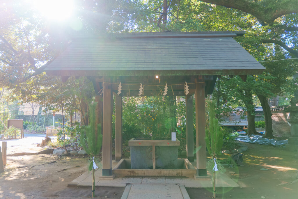 赤坂氷川神社のお宮参りを出張撮影