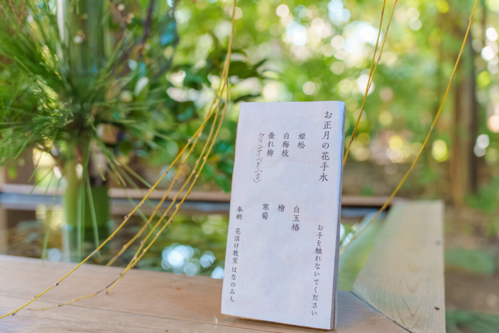 赤坂氷川神社のお宮参りを出張撮影